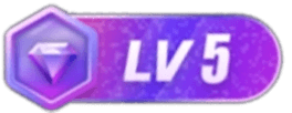等级-LV5网赚项目-副业赚钱-互联网创业-资源整合歪妹网赚
