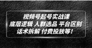 底层逻辑《视频号起号实战课》话术拆解,付费投放网赚项目-副业赚钱-互联网创业-资源整合歪妹网赚